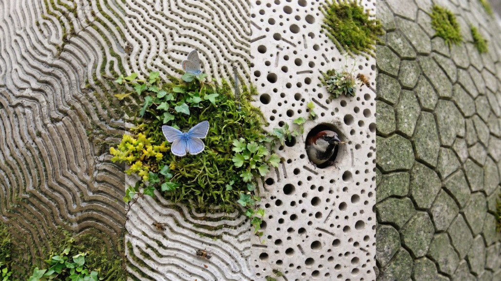 SHIFT-Embassy_14-the-skin-as-habitat-(3)_visitor-experience-by-sbco SHIFT-Embassy_14-the-skin-as-habitat-(3)_visitor-experience-by-sbco