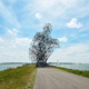 AR experience for Land Art Flevoland, featuring Antony Gormley's 'Exposure'